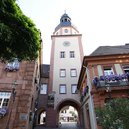 Отель Stadthotel Engel Эттлинген