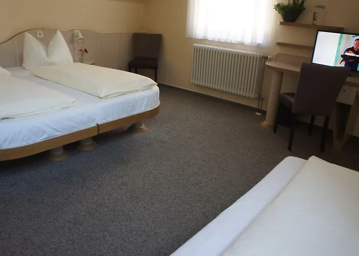 מלון Stadthotel Engel 3*